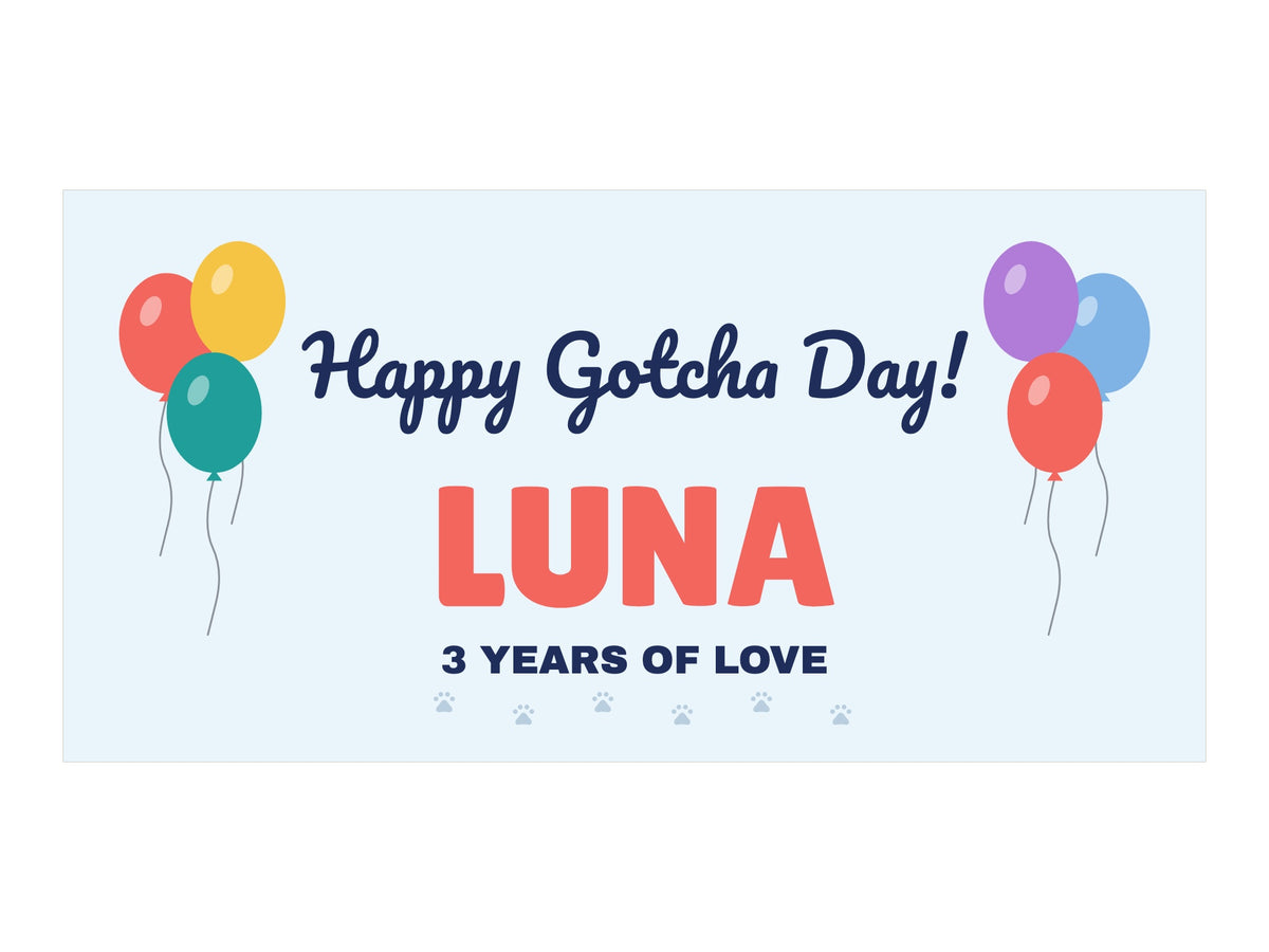 Happy Gotcha Day Banner. Flat artwork, Balloons design, sample text