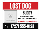 Lost Pet Yard Sign. Flat artwork, sample text